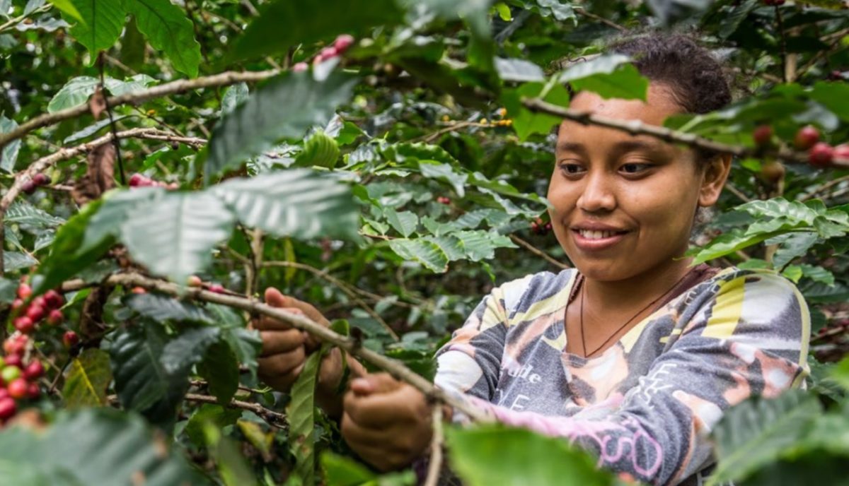 Solution Search: Farming for Biodiversity Report