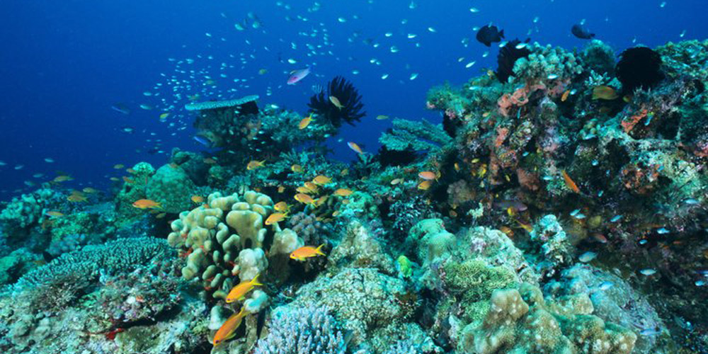 Tapping into Farmers’ Identities to Protect the Great Barrier Reef
