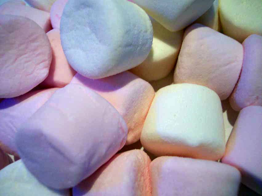 What a New Marshmallow Test Teaches Us About Cooperation