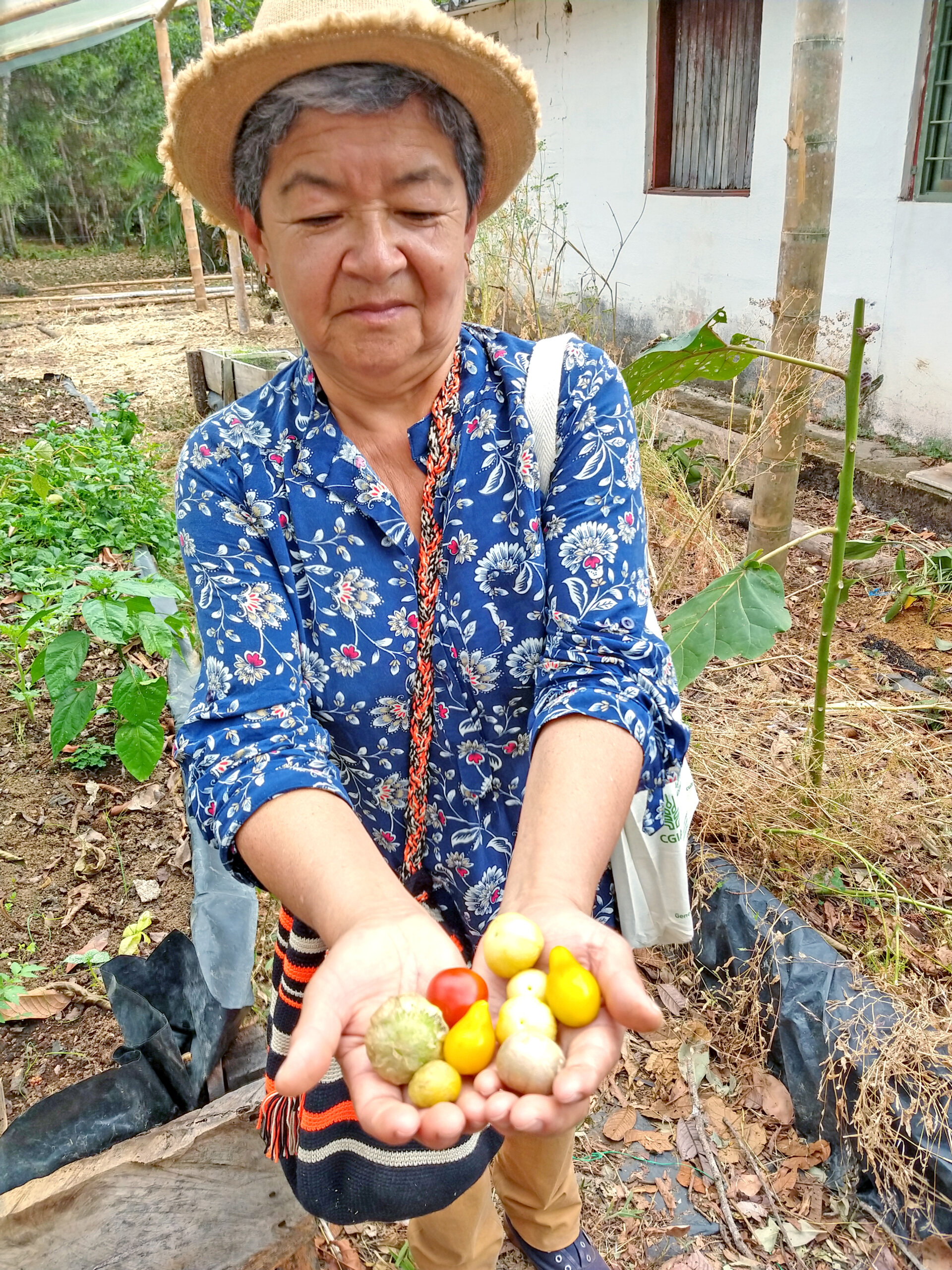 Behavior Change for Agriculture