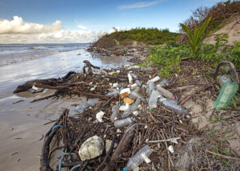 Solutions to plastic pollution with community-based behavior change