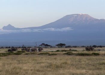 Restoring rangelands through behavioral science